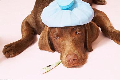 美国2024游戏消费统计：整体支出比前年下降9%